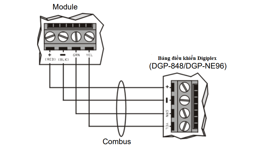 Hình 1 - Kết nối Combus