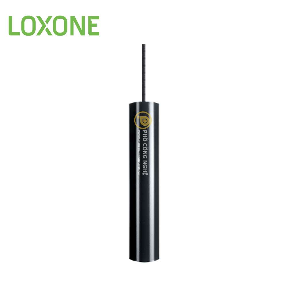 Đèn LED treo con lắc màu đen Loxone 100275