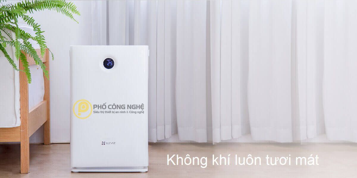 Tạo không khí tươi mát